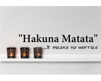"Hakuna Matata"  - It means no worries