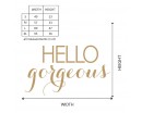 Hello Gorgeous Mirror Quote Wall Decal Hello Gorgeous Mirror Quote Wall Decal